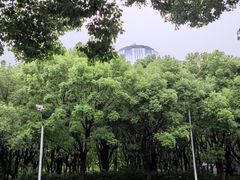 -东怡大酒店(上海科技馆店)