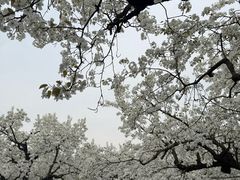 -江苏三台山国家森林公园