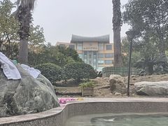 -鱼凫国都大酒店温泉