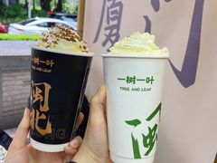 -一树一叶·福建茶档(石鼓路店)