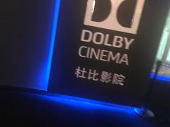 -万达影城(闵行颛桥万达广场杜比影院店)