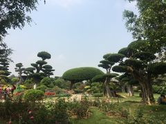 -南宁南湖公园