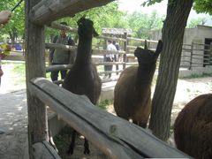 景点-西安秦岭野生动物园