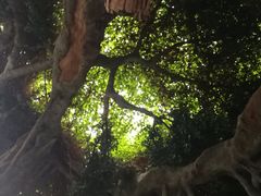 -龙达温泉生态城