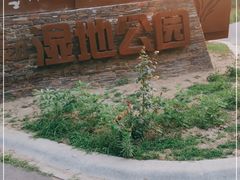 -东郊湿地公园