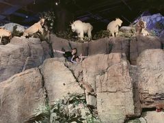 -陕西自然博物馆