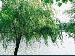 -东山湖公园