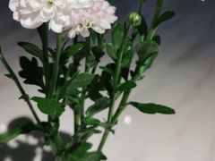 -岁粤Moon·湖景餐厅(月光码头店)