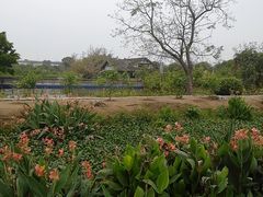 -海上田园