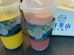 -野萃山·潮汕厚果汁(十亩地店)