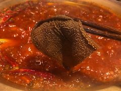 -王婆乔鲜鱼自助火锅(蜀汉路店)