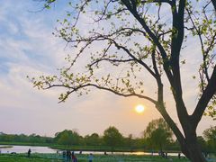 -西溪国家湿地公园