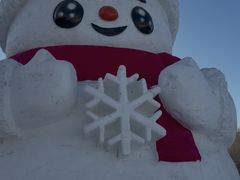 -沈阳奥体冰雪嘉年华