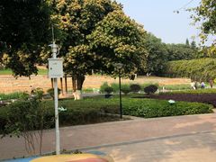 -天河儿童公园