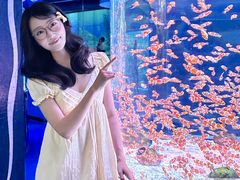 -海合安成都极地海洋公园