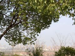 -南京市江宁方山