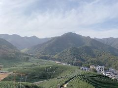 -听风阁农家私房菜茶楼(龙坞店)