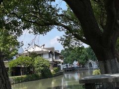 -金泽古镇