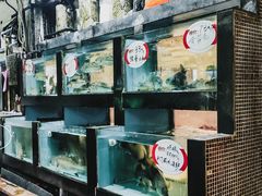 -海晖酒楼·顺德鱼生(荣华店)