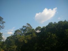 -金鸡山公园