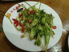 拌香菜根-顺通大冷面(总店)