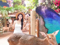 -正佳雨林生态植物园