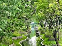 -北坞公园