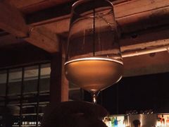 -毛辣果·酸