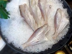 东海耗儿鱼-小天鹅火锅·一线江景洪鼎旗舰店(洪崖洞店)