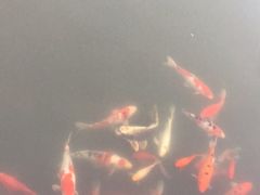 -天目湖涵田半山温泉水乐园