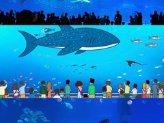 -烟台海昌鲸鲨海洋公园