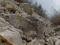 -九峰山