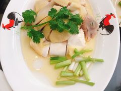 -红星光发煲仔饭(文海店)