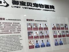-御宝贝24h宠物医院·转诊中心·CT核磁血透中心(厦门总院)