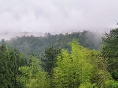-刘伯温故里景区百丈漈