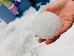 -Mr·Kuma酷么先生雪之乐园