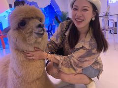 -Blue Concept Cafe&Farm·關於藍