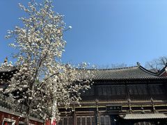 -长春观