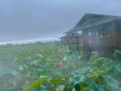 -军山湖云水间水上餐厅(进贤店)
