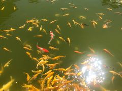 -河北村民俗体验园