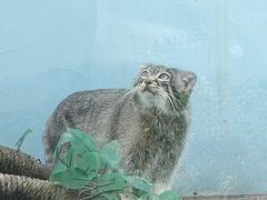 -青藏高原野生动物园