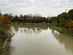 -上海海湾国家森林公园