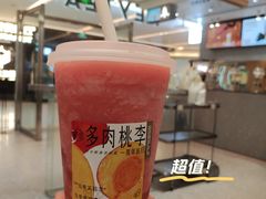 多肉桃李-喜茶(北京财富购物中心店)