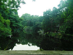 android_upload_pic-叶家花园