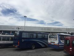 -信德中旅船务管理有限公司