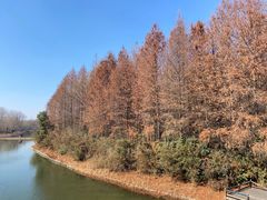 -溱湖国家湿地公园