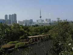 -徐州汉画像石艺术馆