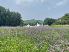 -紫海香堤香草艺术庄园