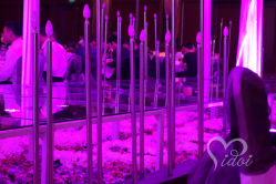 -IDOI婚礼策划·IDOIWEDDING
