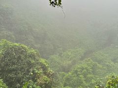 -海口火山口国家地质公园